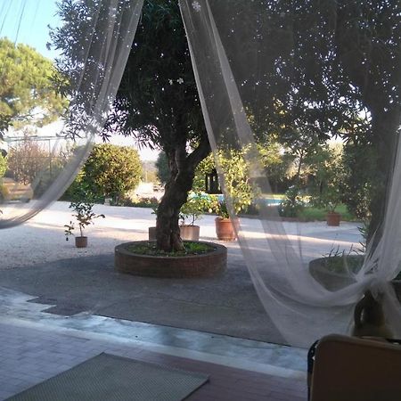 Il Gelso Di Barcuzzi Bed and Breakfast Lonato Eksteriør billede