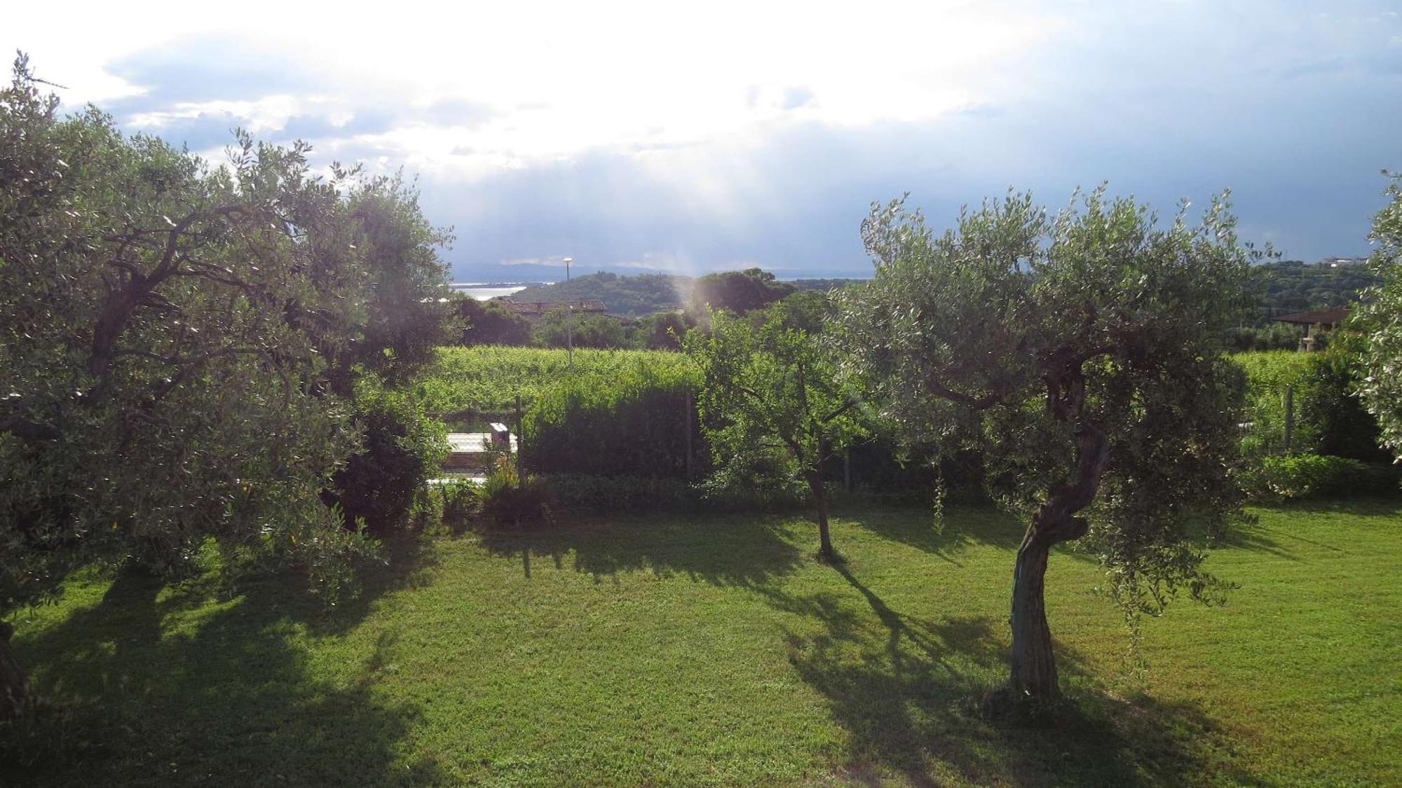 Il Gelso Di Barcuzzi Bed and Breakfast Lonato Eksteriør billede