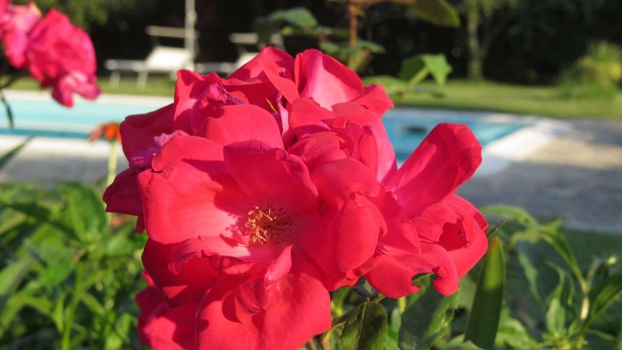 Il Gelso Di Barcuzzi Bed and Breakfast Lonato Eksteriør billede