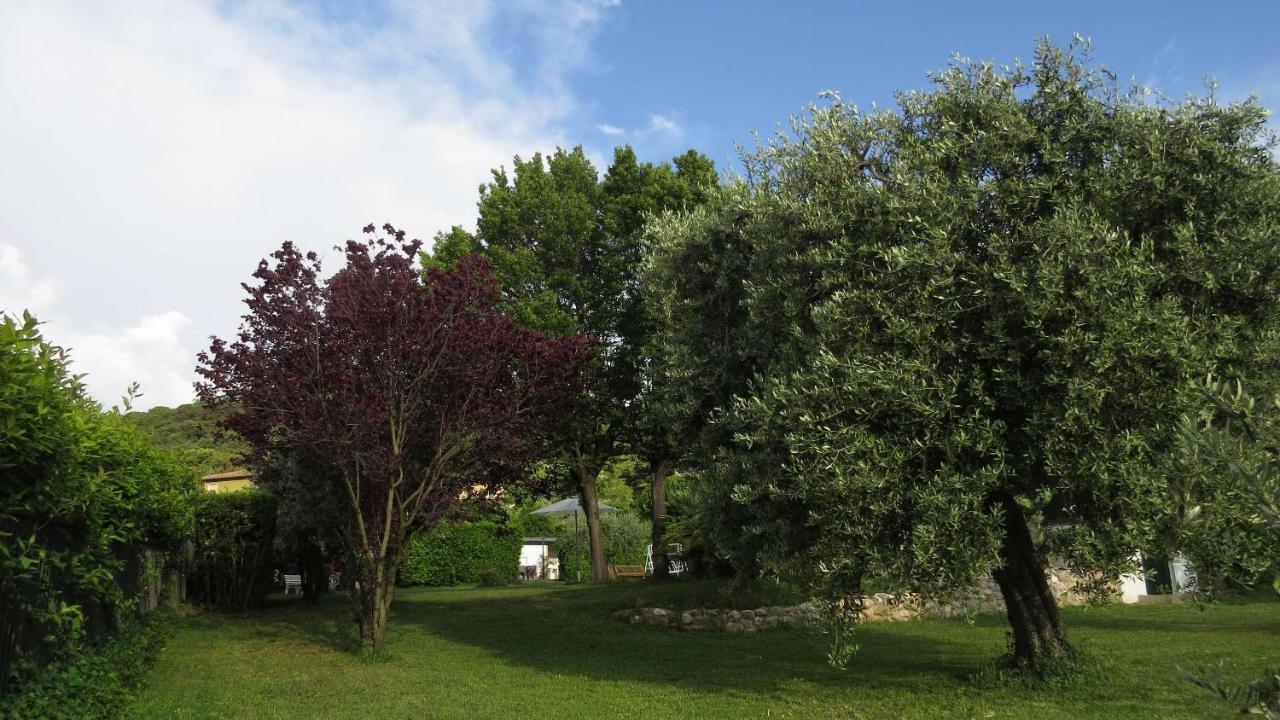 Il Gelso Di Barcuzzi Bed and Breakfast Lonato Eksteriør billede