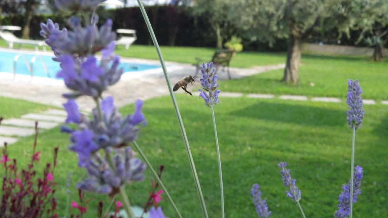 Il Gelso Di Barcuzzi Bed and Breakfast Lonato Eksteriør billede
