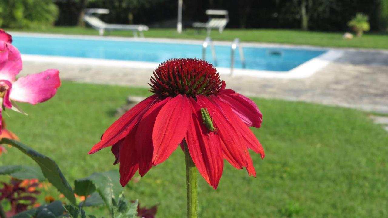 Il Gelso Di Barcuzzi Bed and Breakfast Lonato Eksteriør billede
